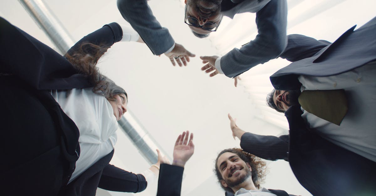 大华功夫：代理分红平台