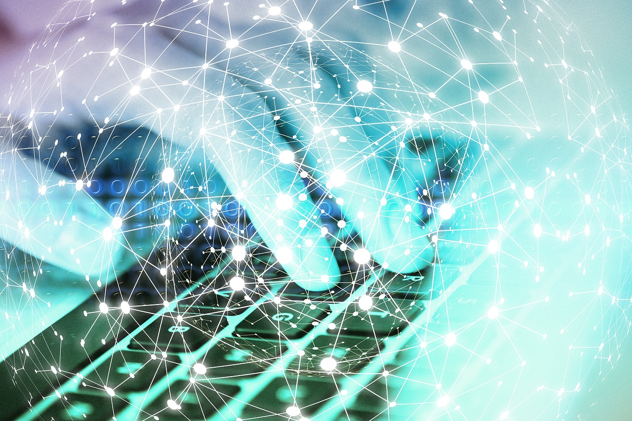 蝙蝠实名账号：niye鼠标APP详情下载教程