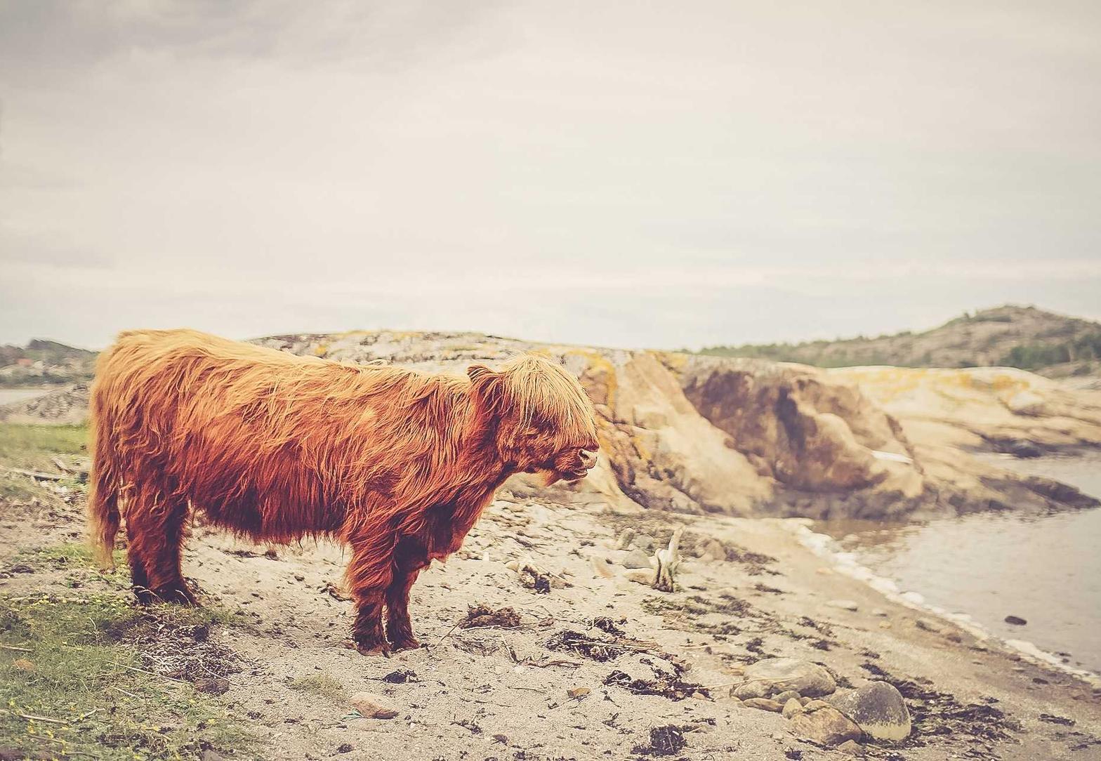 武林英雄传辅助- 霍山工商注册代理公司
