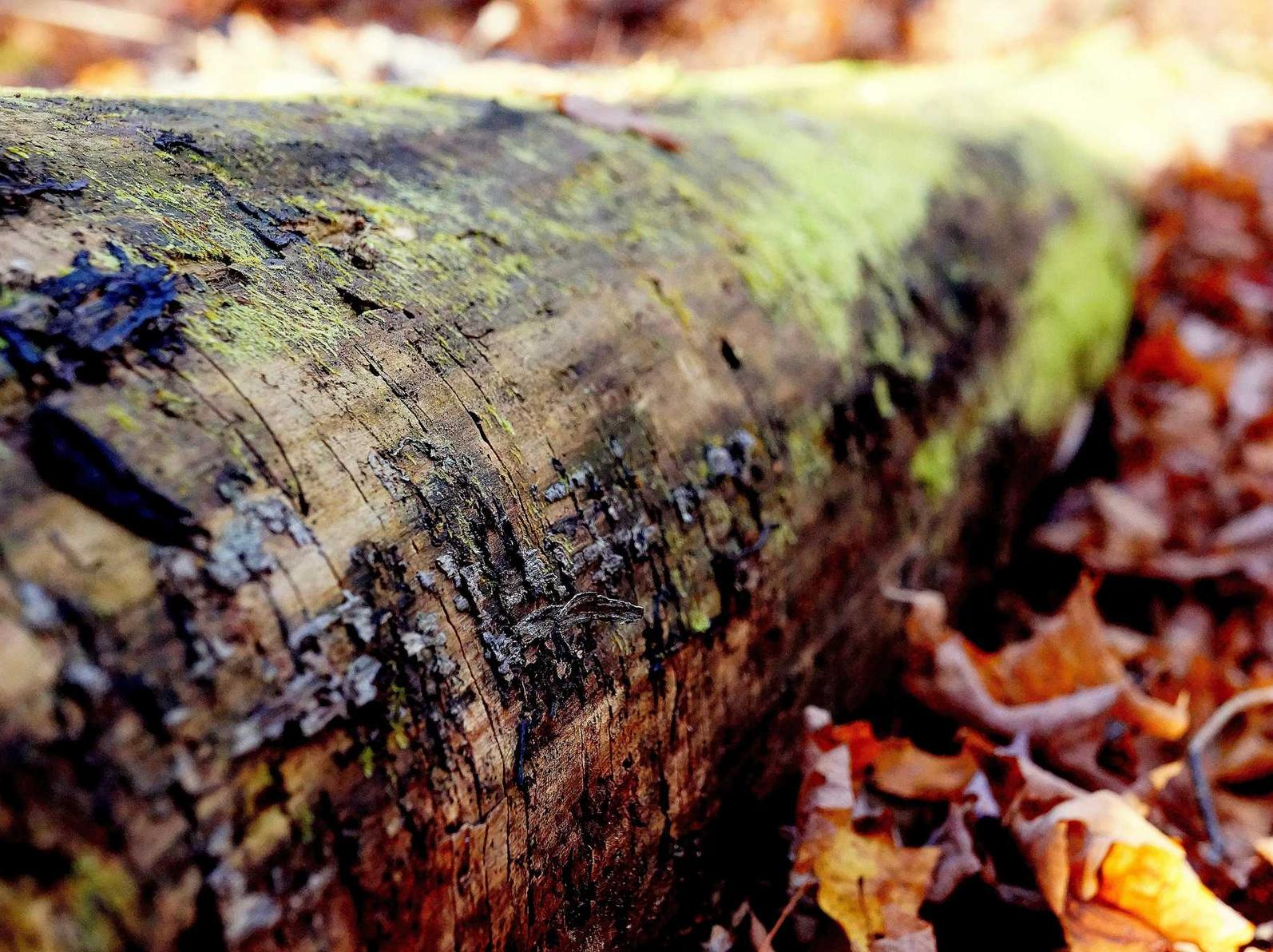 券商开户就申宝 平台口碑