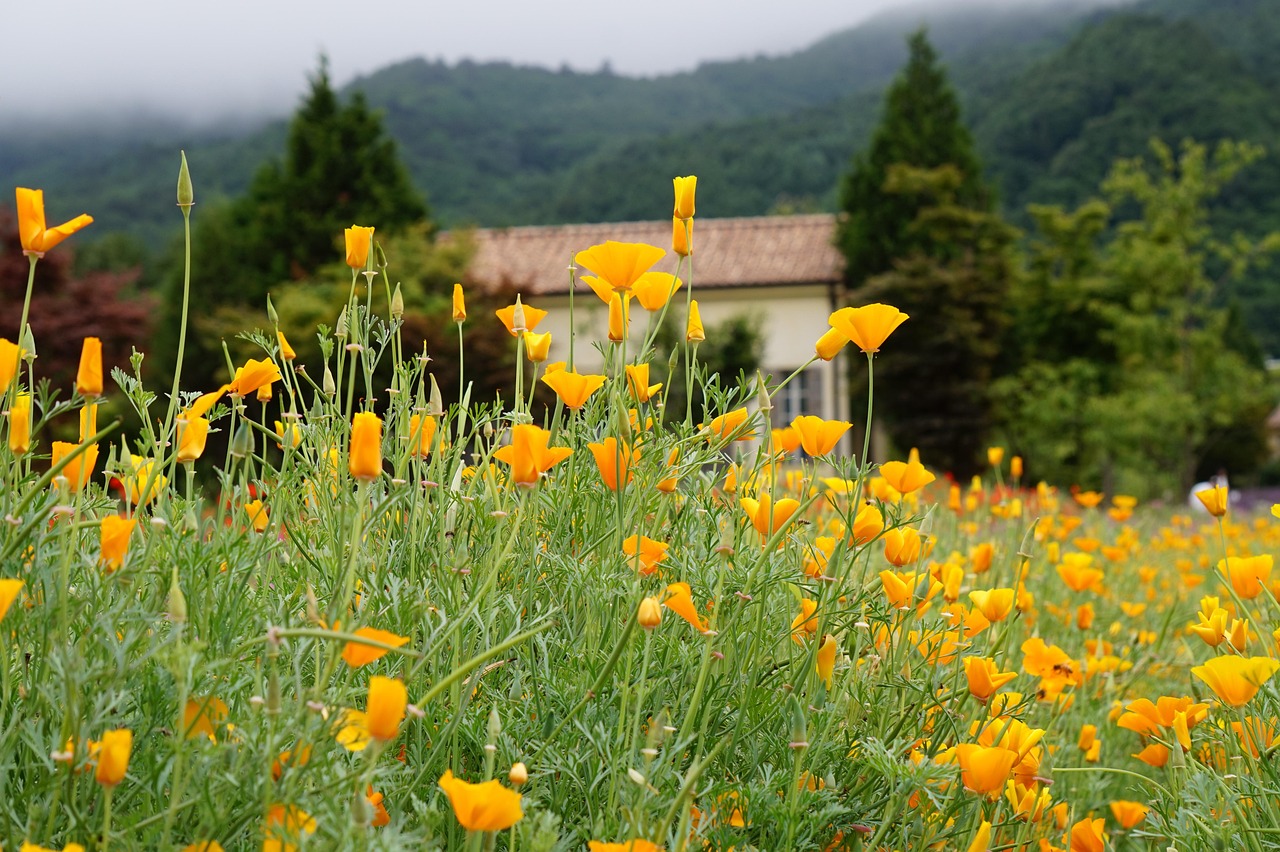 在线DDOS平台攻击|江苏代理记账兼职平台