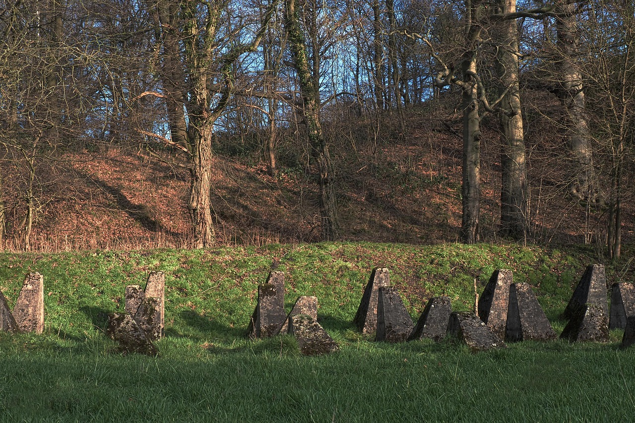 vx号出售：流量卡的转移需要手续吗？